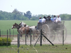 argentina-998477_1920
