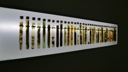 Art O Rama 2017 art contemporain Marseille