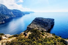 CALANQUES DE MARSEILLE 15