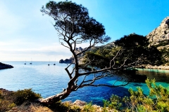 CALANQUES DE MARSEILLE 21