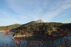 Barrage de Bimont plantes