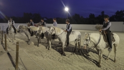 photo de la Camargue
