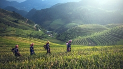 agriculture-cambodge