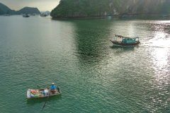 commerce halong