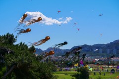 Festival International Du Cerf-Volant Fête du Vent à Marseille