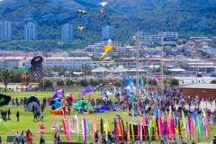 Festival Cerf Volant Plage du Prado