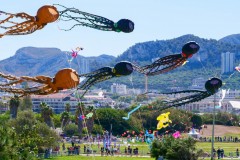 Fête du Vent à Marseille