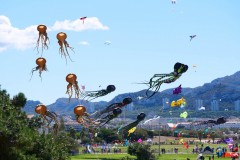 Festival International Du Cerf-Volant  à Marseille