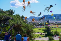 Cerf Volant Plage du Prado