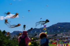 Cerf Volant à Marseille