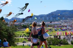 Fête du vent cerf Volant Marseille