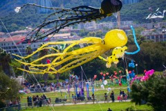 Cerf volant fête sur la plage à Marseille