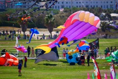 Cerf Volant en plein air Marseille