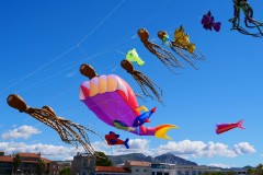 Cerf volant fête du vent Marseille