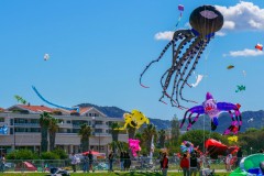 Cerf volant au Prado à Marseille