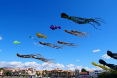 Cerf volant dans le ciel de Marseille