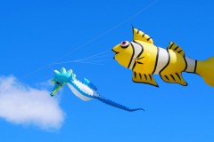 Cerf volant hippocampe poisson