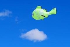 Cerf volant poisson vert