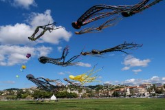 Où faire du Cerf volant à Marseille ?