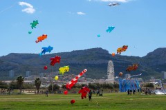 Cerf volant en bord de mer à Marseille