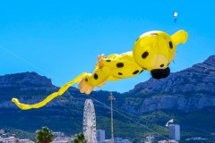 Marsupilami Cerf Volant