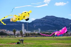 Cerf volant marsupilami