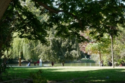 Parc Borély espace vert