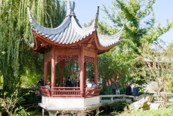Parc Borély jardin japonais
