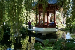 Parc Borély Japon