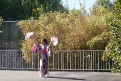 Parc Borély folklore japonais