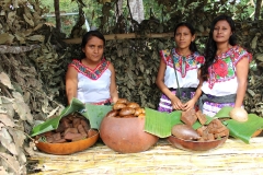 Cuisinière mexicaine