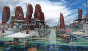 pellican bateau halong