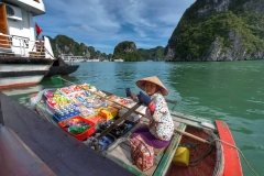 marchand ambulant ha long