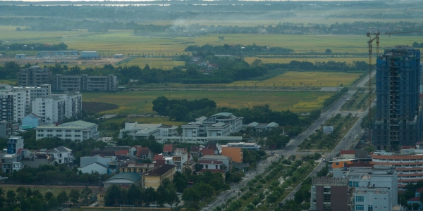 vn2019-184