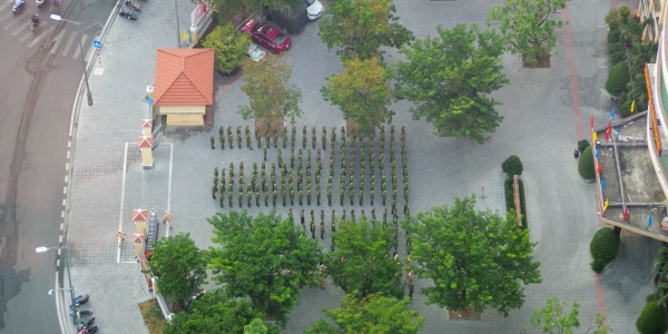 vn2019-186