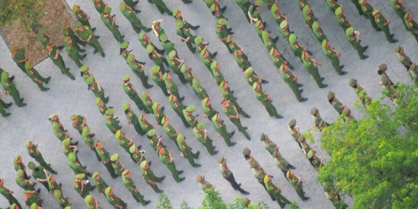 vn2019-197