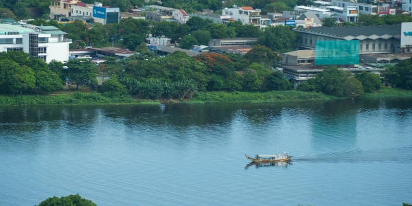 vn2019-206