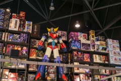 Japan Expo Sud