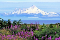 alaska-907724_1920