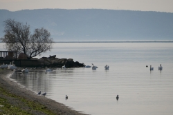 Lagune de Berre promenade