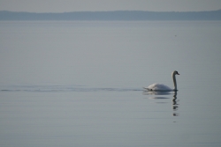 Lagune de Berre calme