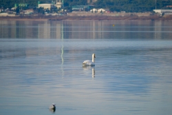 Lagune de Berre nature