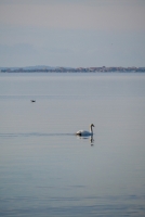 Lagune de Berre hiver