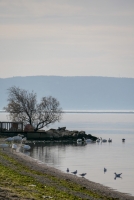 Lagune de Berre bord