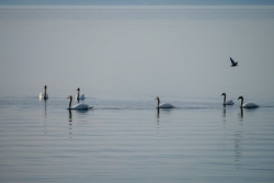 Lagune de Berre plein air