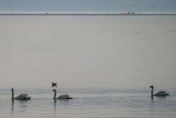 Lagune de Berre cool