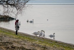 Lagune de Berre nature