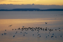 Lagune de Berre soir