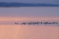 Lagune de Berre pourtour