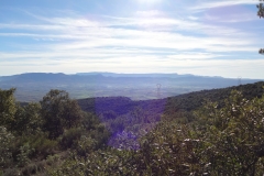 Sainte victoire vue